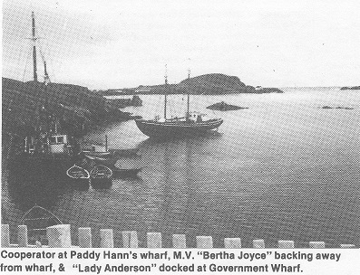 29 Cooperator Bertha Joyce