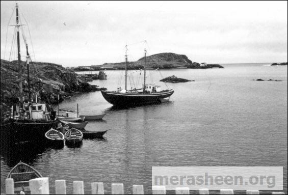 The Bertha Joyce backing away from Hann's wharf, circa 1957, skippered by Clem Berkshire.
In 1946, Fred and son Clem Berkshire of Spencer’s Cove hired John Pomeroy of Great Paradise to build this schooner, engaged people at Marystown to cut the timber and purchased the plank and decking at Glovertown. The 52 tonne Bertha Joyce was built at Great Paradise and launched in August 1947. She was brought from there to Spencer's Cove where she was fitted with a 66 horsepower Diesel engine and also fitted with a a foresail, riding sail and jumbo to help her along. This schooner was used mostly between St. John’s and communities of Placentia Bay, bringing supplies from St. John’s and taking salt cod, cod oil and other products to St. John’s.
On May 6, 1960, the Bertha Joyce became a total loss when she ran into a cliff Northwest of St. Shott's while en route to St. John’s from Placentia Bay. The incident happened about 3:00 am in dense fog. She did not strike bottom but sailed straight into the cliff. She was backed clear of the face of the cliff but was leaking so badly that she sank within 20 minutes. It was a very calm night, however, and the crew had no difficulty in launching the dory and rowing to the beach at St. Shott's. There they hired a Taxi to take them to St. Johns.
At the wharf is the Cooperator II , ex Kean Brothers, built at St. Brendan's, Bonavista Bay, 1951, 88 feet long, 118 gross tons. Unloading a load of salt or coal. Owned by Placentia West Co-operative Transportation Society Limited, headquarters at Merasheen, P. Bay, NL. circa 1959. M. V. Lady Anderson tied up to the Government Wharf, directly over the stem of the Bertha Joyce.