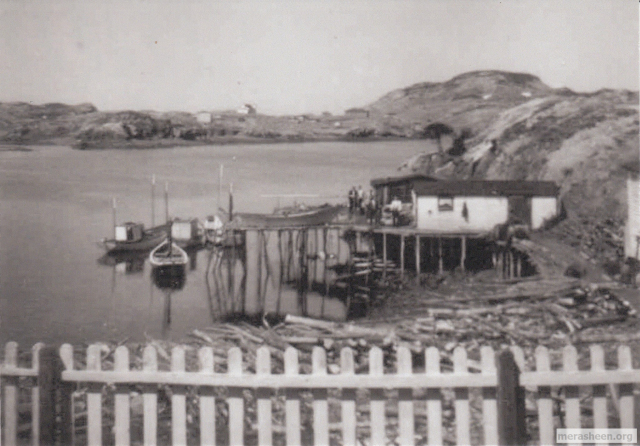 As per Mathilda Pomroy:&amp;nbsp;Pomroy's fishing premises. It must have been Sunday morning because all the men are wearing their Sunday best. Everyone always dressed up on Sunday, the day of rest. The only time they fished on Sunday was for the Church. What money they made for that day, went to the church. This was taken in 1959.&amp;nbsp; Punt closest to the fence is Pat's, outside is Tom Houlihan's, by the wharf is Leo's skiff (known as the Sea Dog), and the other one is Joe Casey's skiff. It is springtime because the dory is on the wharf. It hasn't been put out yet. Men are Leo Pomroy, Joe Casey, Raymond Leonard and Billy Houlihan. Jack Barnett's house is to the left on Soldier Point.