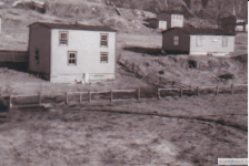 The house in the foreground belonged to Amelius and Ettie (Ennis) Best and was floated over across the harbour from it's place on Stella's Lane in Little Merasheen in about 1930.&amp;nbsp; It was originally owned by Amelius' sister&amp;nbsp;Stella (Best) Ennis whose first marriage was to Joe Ennis who died at age 37 on Christmas Eve, 1929 leaving Stella with 5 children from infant to 11 years.&amp;nbsp; Later Stella moved away and married Ned Traverse and then Bernard Traverse and lived to be 100. Stella's Lane is where Clem had a cabin (behind Johnny Ennis house). The house to the right: Clem Best; the house behind: Mac Best; the house to the far right: Cleverly Best.