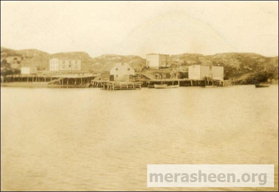 Best's premises circa 1925:&amp;nbsp; Ab (Albert) Best's house and fishing premises and Stella and Bert Best's first house to the right.&amp;nbsp; Look closely to see two people spreading fish on the flake!
According to Fred's daughter Anita, Fred Best and Tom Connors (Dora's brother) built a new house in that location in the late 40s and the new house is where Anita, Ralph and Brian Best were born.&amp;nbsp;