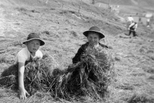 Best buddies Ernie Walsh and Freddy Best