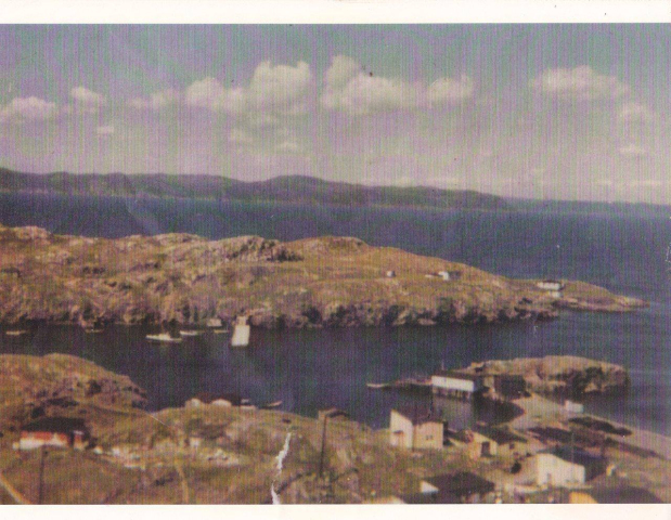 24 Taken from the Big Hill around 1964. Out towards Pitcher's Point you can see Mike Ennis' house and Ron Pitcher's house. At the bottom left is Paddy Ennis' house, Hennessey's house, George Wilson's stage at the Fender and Johnny Wilson's house.
