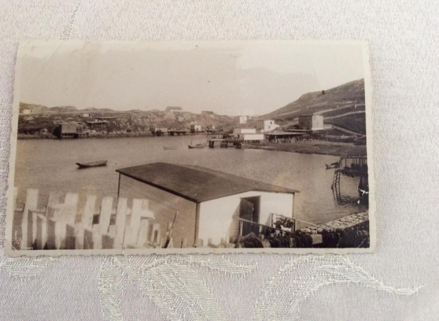 31 View across Hickey's bottom c 1920.&amp;nbsp; Church and old parish hall in center background. Photo: Jack Pomroy