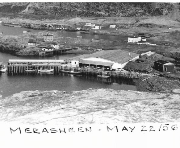 37 Fish plant and area c1956