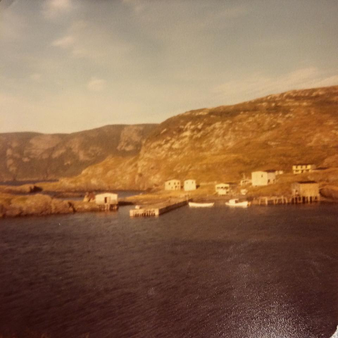 59 Houses and wharf in Little Merasheen, circa 1970.