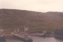 55 View from across the harbour of the wharf and the Hennessey/Wilson properties circa 1971.&amp;nbsp; George Wilson's stage on the far left.