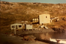 56 Little Merasheen circa 1970, with Hennessey's house in the foreground.